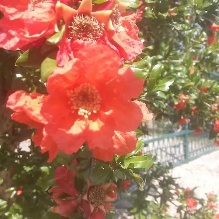 Bed & Breakfast La Dolce Collina Mombercelli