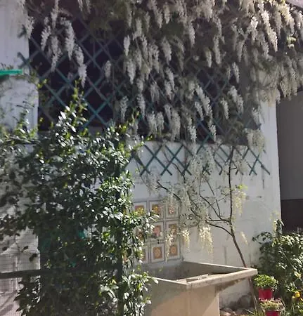 La Dolce Collina Bed & Breakfast